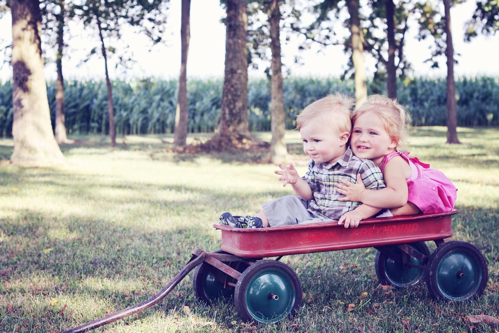 Elfrather Familienzeit im Sommer