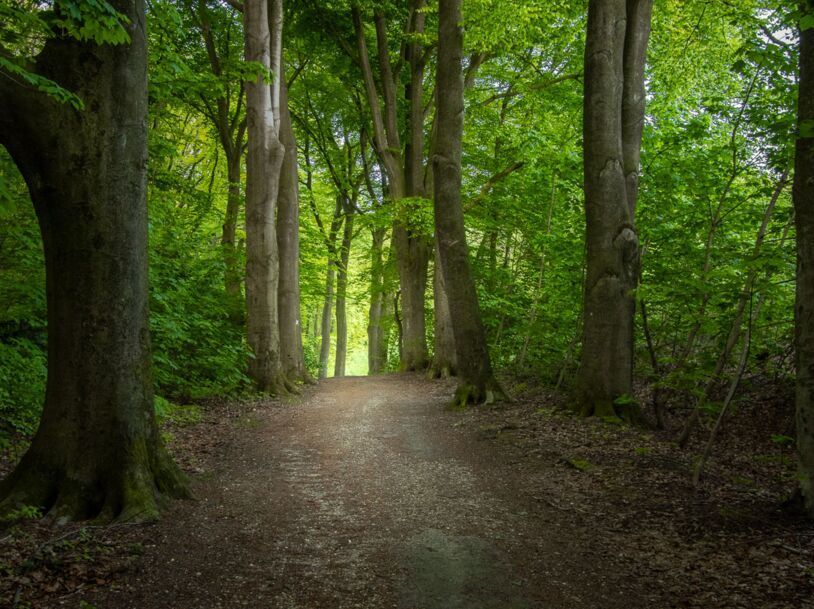 Geführte Wanderung für Erwachsene auf den Süchtelner Höhen -