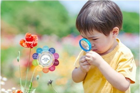 BildungsImpuls: Impulse für die Bildungsbereiche in der Praxis